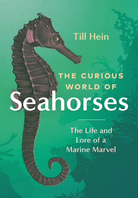 The Curious World of Seahorses: The Life and Lore of a Marine Marvel -- Till Hein, Hardcover