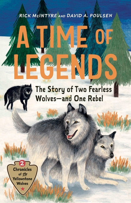 A Time of Legends: The Story of Two Fearless Wolves--And One Rebel -- Rick McIntyre, Hardcover