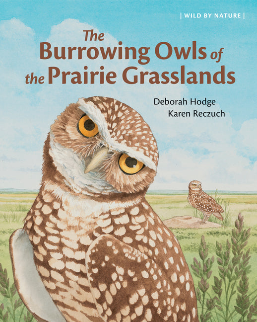 The Burrowing Owls of the Prairie Grasslands -- Deborah Hodge, Hardcover