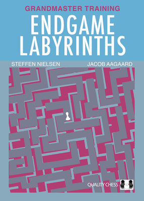 Endgame Labyrinths by Aagaard, Jacob