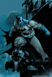 Absolute Batman: Hush (New Edition) by Loeb, Jeph
