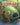Jesus Moments: Jonah: Finding Jesus in the Story of Jonah by Mitchell, Alison