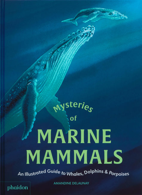 Mysteries of Marine Mammals: An Illustrated Guide to Whales, Dolphins, and Porpoises -- Amandine Delaunay, Hardcover