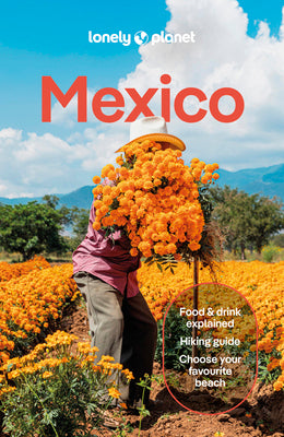 Lonely Planet Mexico by Planet, Lonely