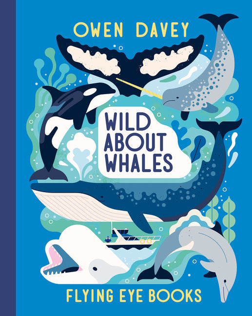 Wild about Whales -- Owen Davey, Hardcover