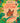 Watch Me Grow: Butterflies (Library Edition) by Forster, Sara