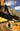 The Rough Guide to Peru: Travel Guide with Free eBook by Guides, Rough