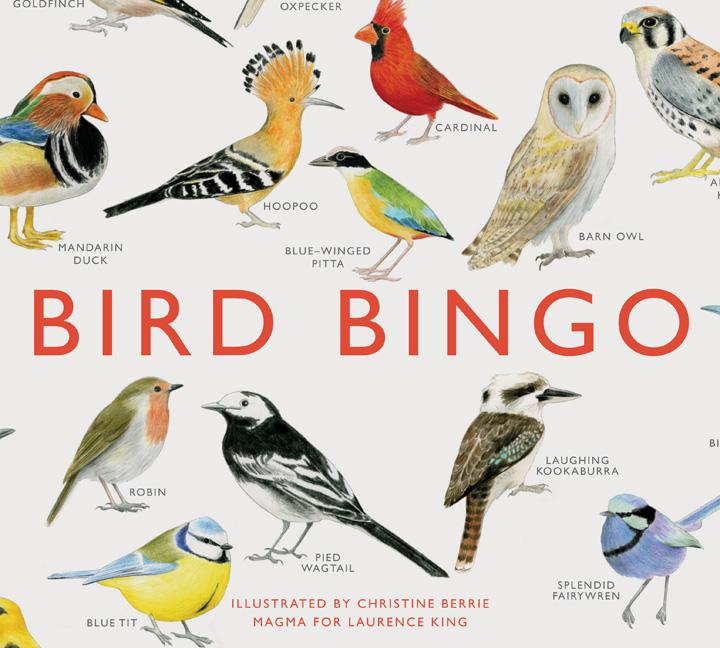 Bird Bingo -- Christine Berrie, Other