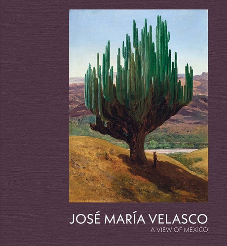 Jose Maria Velasco: A View of Mexico -- Dexter Dalwood, Hardcover