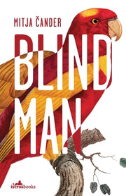 Blind Man by &#268;ander, Mitja