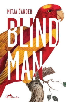 Blind Man by Čander, Mitja