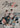 Stray Kids: Everywhere All Around the World by Zander, Pearl