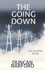 The Going Down by Barford, Duncan