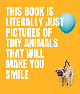 This Book Is Literally Just Pictures of Tiny Animals That Will Make You Smile -- Smith Street Books, Hardcover