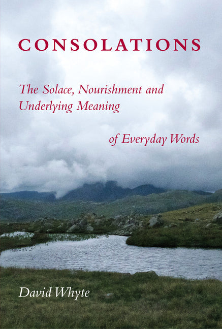 Consolations: The Solace, Nourishment and Underlying Meaning of Everyday Words -- David Whyte, Paperback