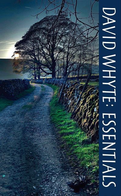 David Whyte Essentials -- David Whyte, Paperback