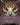 Book of Adria: A Diablo Bestiary by Brooks, Robert