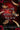 House of Striking Oaths by Wildenstein, Olivia