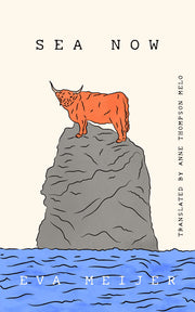 Sea Now by Meijer, Eva