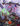 Tome of Beasts 2 by Baur, Wolfgang