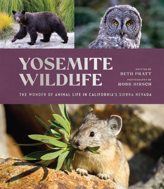 Yosemite Wildlife: The Wonder of Animal Life in California's Sierra Nevada -- Beth Pratt, Hardcover