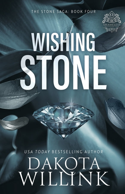 Wishing Stone -- Dakota Willink, Paperback