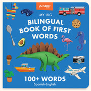 My Big Bilingual Book of First Words: 100+ English-Spanish Words for Animals, Foods, Vehicles, Planets, and More! by Alfaro, Mike