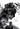 All the Memories That Remain: War, Alzheimer's, and the Search for a Way Home by Liddick, E. M.
