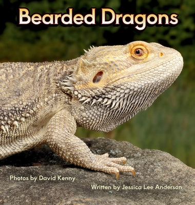 Bearded Dragons by Anderson, Jessica Lee