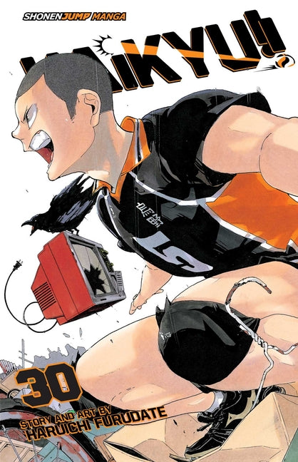 Haikyu!!, Vol. 30 -- Haruichi Furudate, Paperback