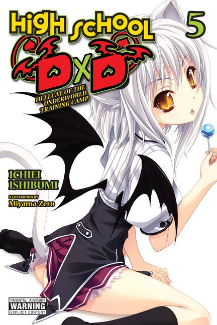 High School DXD, Vol. 5 (Light Novel): Hellcat of the Underworld Training Camp by Ishibumi, Ichiei