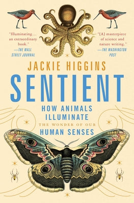 Sentient: How Animals Illuminate the Wonder of Our Human Senses -- Jackie Higgins, Paperback