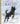 My Little Golden Book about Balto by Lovitt, Charles