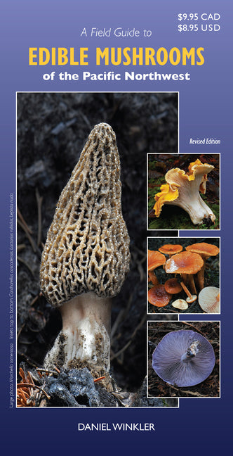 A Field Guide to Edible Mushrooms of the Pacific Northwest: Revised Edition -- Daniel Winkler, Paperback