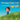The Happy Flappy Child: I Can't find My Words by Whitaker, Cassandra