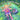 Lucy's Adoption Song by MacGregor, Sandee G.