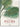 Martius. the Book of Palms by Lack, H. Walter