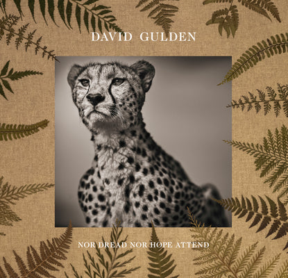 David Gulden: Nor Dread Nor Hope Attend: Photographs from the Plains of Africa -- David Gulden, Hardcover