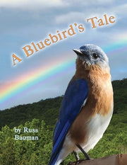 A Bluebird's Tale by Bauman, Russ