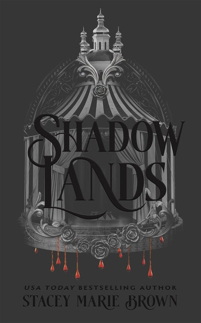 Shadow Lands -- Stacey Marie Brown, Hardcover