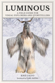 Luminous: A Field Guide for Visual Explorers and Storytellers by Calvo, Kike