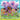 The Arrows Fly By by Hix, Hannah