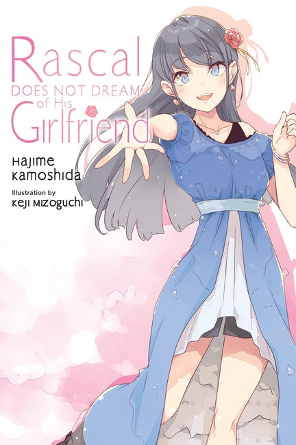 Rascal Does Not Dream of His Girlfriend (Light Novel): Volume 14 -- Hajime Kamoshida, Paperback