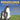 Penguins Like Warm Climates Too! Animal Books for Kids 9-12 Children's Animal Books by Baby Professor