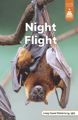 Night Flight by Richmond, Marley