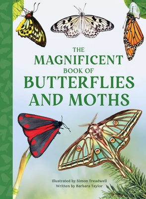 The Magnificent Book of Butterflies & Moths by Taylor, Barbara