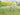 Garden Beyond the Meadow by Midkiff, Cheryl S.