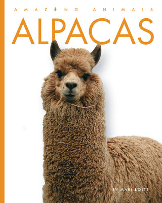 Alpacas by Bolte, Mari