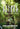 Ostara Guide: Rituals and Celebrations for the Springtime Sabbat by Ginther Venneri, Robin