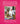 Who's Your Mama, Are You Catholic, and Can You Make a Roux? by Bienvenu, Marcelle